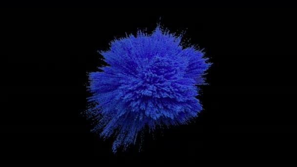 蓝色粉末球爆炸在黑色背景 蓝色灰尘爆炸 油漆霍利 蓝色粉末的冻结运动 — 图库视频影像