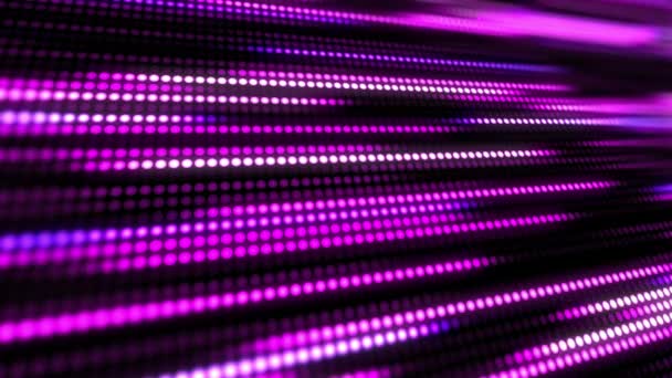 小さな光のドット ストライプのアニメーションがスローモーションでピンク 紫抽象的な技術背景 熱烈な に焦点を当てた小さなボール粒子を振る動き 抽象化された創造的なポップ カラフルな運動 — ストック動画