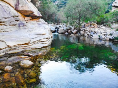 Açık Nehri Dağ taşlarla. Yeşil orman manzara akan nehir dağ. Dağlarda vahşi nehir. Doğal rezerv Nehri'nin güzel doğal sahne. Miyun, Beijing, Çin