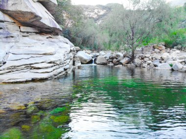 Açık Nehri Dağ taşlarla. Yeşil orman manzara akan nehir dağ. Dağlarda vahşi nehir. Doğal rezerv Nehri'nin güzel doğal sahne. Miyun, Beijing, Çin
