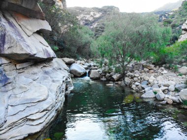 Açık Nehri Dağ taşlarla. Yeşil orman manzara akan nehir dağ. Dağlarda vahşi nehir. Doğal rezerv Nehri'nin güzel doğal sahne. Miyun, Beijing, Çin