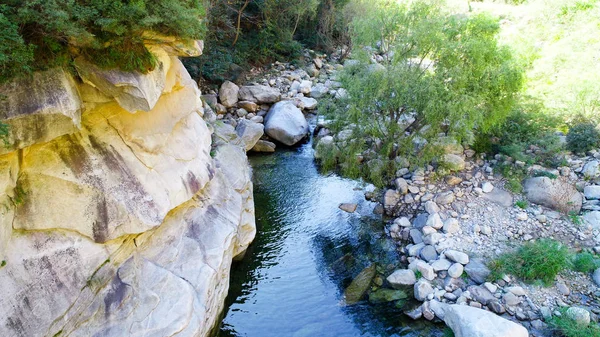 Klarer Fluss Mit Felsen Berg Gebirgsfluss Fließt Durch Die Grüne — Stockfoto