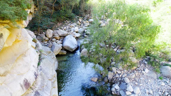 Чистая Река Скалами Горах Горная Река Протекает Через Зеленый Лесной — стоковое фото