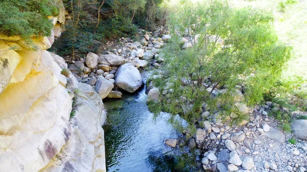 Klarer Fluss Mit Felsen Berg Gebirgsfluss Fließt Durch Die Grüne — Stockfoto