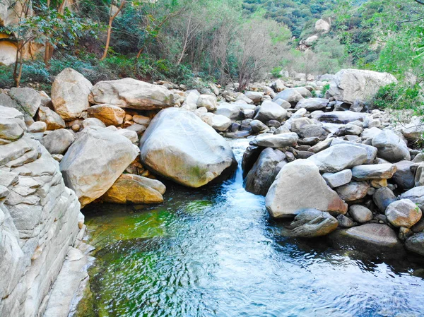 Klarer Fluss Mit Felsen Berg Gebirgsfluss Fließt Durch Die Grüne — Stockfoto