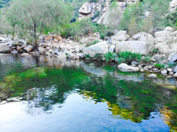 Klarer Fluss Mit Felsen Berg Gebirgsfluss Fließt Durch Die Grüne — Stockfoto