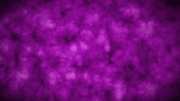 抽象2D 艺术动画作品的紫色 粉红色的色调 动画紫色色调格格纹理抽象背景 紫色的波浪抽象或波纹水 云纹理背景 幻想和梦幻般的形式 — 图库视频影像