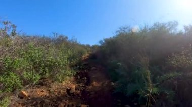 San Diego, Kaliforniya, ABD kara dağın tepesine yürüyüş küçük yolları. Küçük yol ve hiking trail, yukarı veya aşağı dağ güneşli mavi gün boyunca gitmek için yol