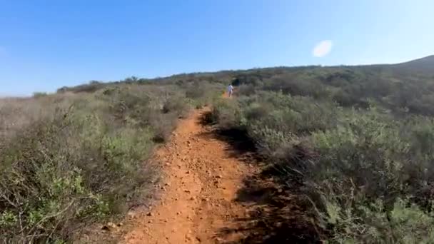 年轻女子运动徒步者爬上黑山在圣迭戈 加利福尼亚州 在蓝色阳光明媚的日子里 女徒步者上上下下地在山上 运动和健康的生活方式概念 — 图库视频影像