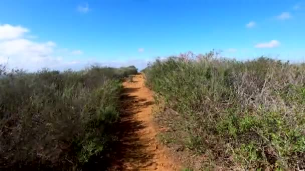 Jonge Vrouw Sportieve Wandelaar Klimmen Black Mountain San Diego California — Stockvideo