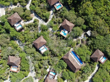 Havadan görünümü tropikal orman içinde yüzme havuzlu lüks Villa. Palmiye ağaçlarının yanında sahil tropikal bahçe arasında yüzme havuzlu özel tropikal villa. Praia de Forte, Bahia, Brezilya