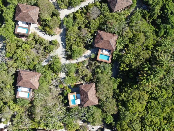 Aerial view of luxury villa with swimming pool in tropical forest. Private tropical villa with swimming pool among tropical garden with palm trees next to the coast. Praia de Forte, Bahia, Brazil