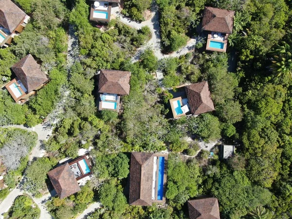 Aerial view of luxury villa with swimming pool in tropical forest. Private tropical villa with swimming pool among tropical garden with palm trees next to the coast. Praia de Forte, Bahia, Brazil