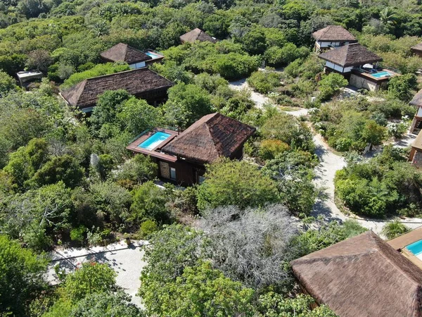 Aerial view of luxury villa with swimming pool in tropical forest. Private tropical villa with swimming pool among tropical garden with palm trees next to the coast. Praia de Forte, Bahia, Brazil