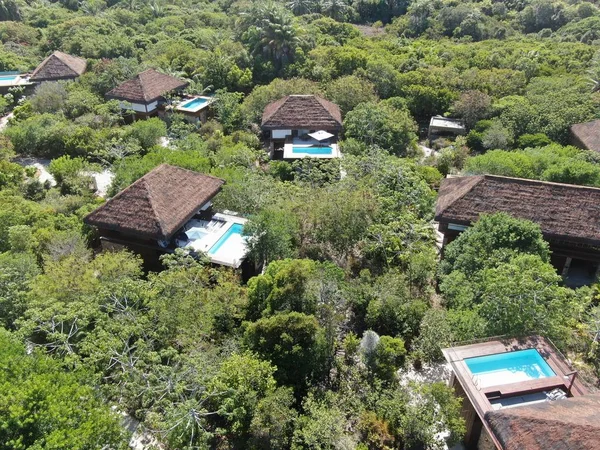 Aerial view of luxury villa with swimming pool in tropical forest. Private tropical villa with swimming pool among tropical garden with palm trees next to the coast. Praia de Forte, Bahia, Brazil