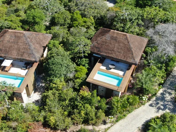 Aerial view of luxury villa with swimming pool in tropical forest. Private tropical villa with swimming pool among tropical garden with palm trees next to the coast. Praia de Forte, Bahia, Brazil