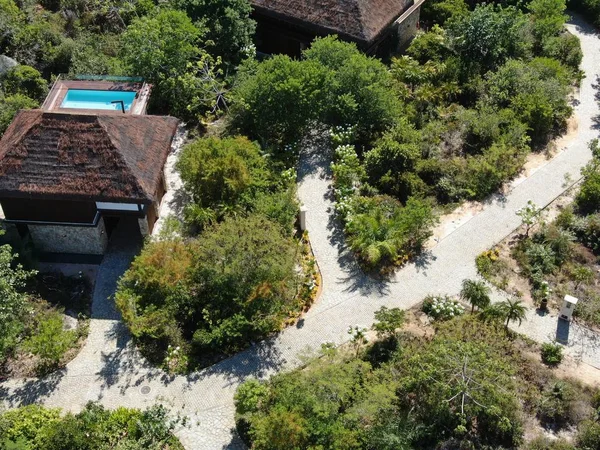 Aerial view of luxury villa with swimming pool in tropical forest. Private tropical villa with swimming pool among tropical garden with palm trees next to the coast. Praia de Forte, Bahia, Brazil