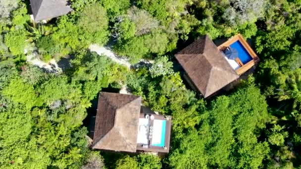 在热带森林中设有游泳池的豪华别墅鸟图 私人热带别墅 在热带花园中设有游泳池 海岸旁有棕榈树 Pria Forte Bahia Brazil — 图库视频影像