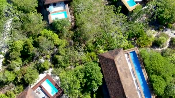 Havadan Görünümü Tropikal Orman Içinde Yüzme Havuzlu Lüks Villa Palmiye — Stok video