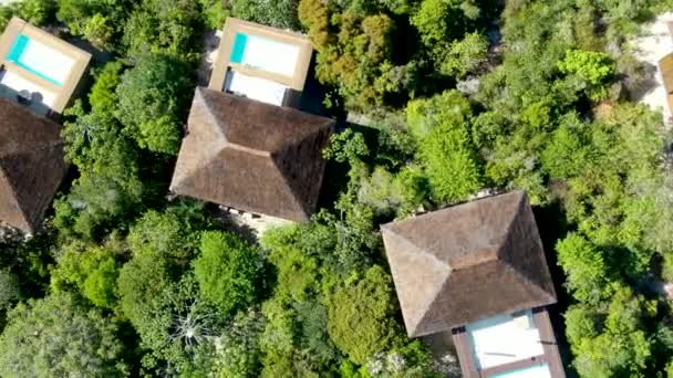 Αεροφωτογραφία Του Πολυτελής Βίλα Πισίνα Τροπικό Δάσος Ιδιωτικό Τροπικό Βίλα — Αρχείο Βίντεο