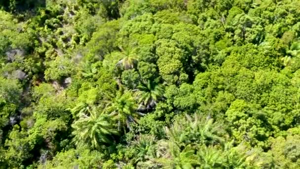 Letecký Pohled Luxusní Vily Bazénem Tropickém Lese Privátní Tropické Vila — Stock video