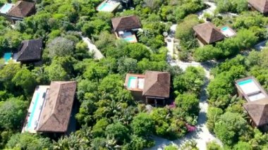 Havadan görünümü tropikal orman içinde yüzme havuzlu lüks Villa. Palmiye ağaçlarının yanında sahil tropikal Bahçe arasında yüzme havuzlu özel tropikal villa. Praia Forte, Bahia, Brezilya