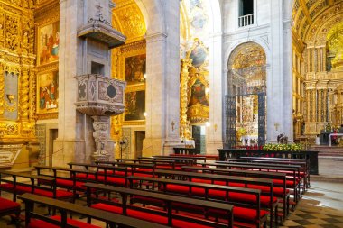 Katedral Basilica of Salvador içinde (Catedral Baslica de Salvador) Salvadore, Bahia, Brezilya eski şehir merkezinde. Portekiz sömürge altın Barok iç tarzı.