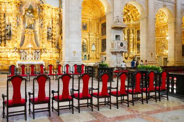 Katedral Basilica of Salvador içinde (Catedral Baslica de Salvador) Salvadore, Bahia, Brezilya eski şehir merkezinde. Portekiz sömürge altın Barok iç tarzı.