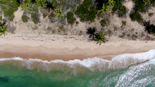 Översta Flygfoto Över Tropiska Strand Med Vit Sand Och Turkost — Stockvideo