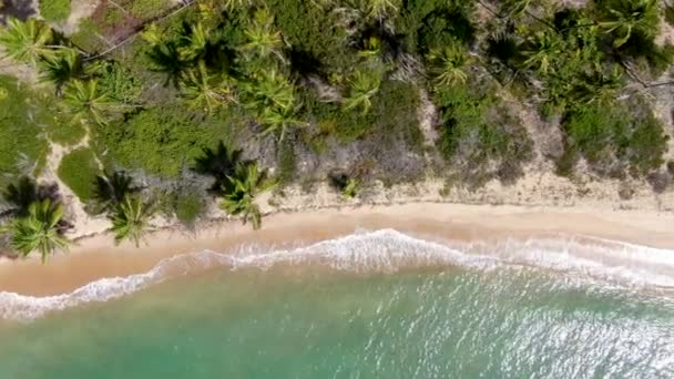 Översta Flygfoto Över Tropiska Strand Med Vit Sand Och Turkost — Stockvideo