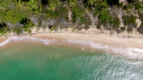 空撮トップ熱帯白い砂浜とターコイズ ブルーの小さな波と海の水をオフに ヤシの木の背景 プライア フォルテ バイーア ブラジル 旅行熱帯の概念 — ストック動画