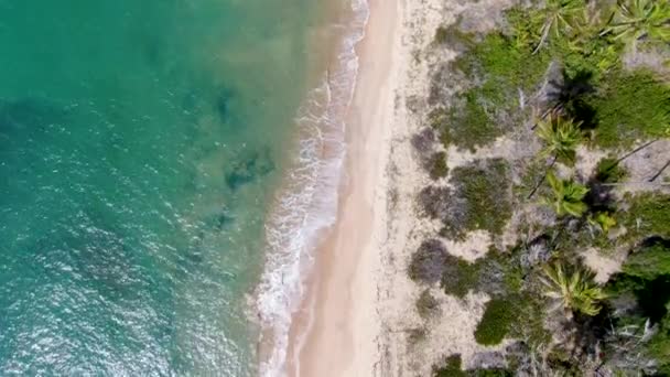 Top Luchtfoto Van Tropische Wit Zand Strand Turkoois Helder Zeewater — Stockvideo