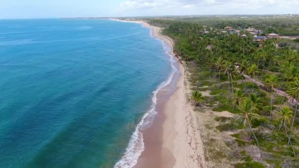 空撮熱帯白い砂浜とターコイズ ブルーの小さな波と海の水をオフに ヤシの木の背景 プライア フォルテ バイーア ブラジル 旅行熱帯の概念 — ストック動画
