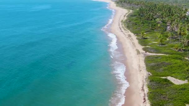 空撮熱帯白い砂浜とターコイズ ブルーの小さな波と海の水をオフに ヤシの木の背景 プライア フォルテ バイーア ブラジル 旅行熱帯の概念 — ストック動画