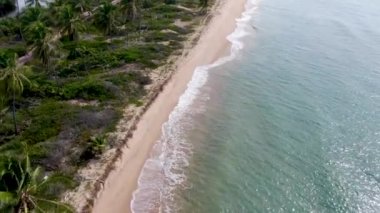 Tropikal beyaz kum plaj ve turkuaz havadan görünümü küçük dalgalar ile deniz suyu temizlemek ve palmiye ağaçları arka plan. Praia Forte, Bahia, Brezilya var. Seyahat tropikal kavramı