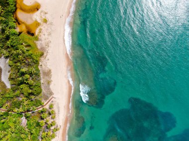 Tropikal beyaz kum plaj ve turkuaz hava üstten görünüm deniz suyu küçük dalgalar ile temizleyin ve palmiye ağaçları arka plan. Praia Forte, Bahia, Brezilya var. Seyahat tropikal lüks konsepti