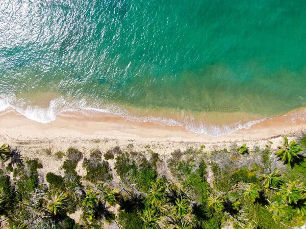 Aerial Top View Tropical White Sand Beach Turquoise Clear Sea — Stock Photo, Image