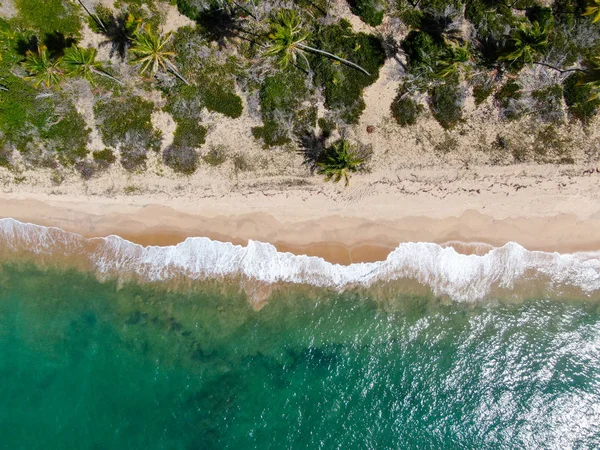 Aerial Top View Tropical White Sand Beach Turquoise Clear Sea — Stock Photo, Image