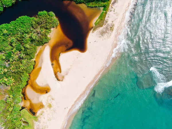 Vista Aérea Superior Rio Fundindo Com Praia Areia Branca Tropical — Fotografia de Stock