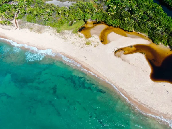 Vista Aérea Superior Rio Fundindo Com Praia Areia Branca Tropical — Fotografia de Stock