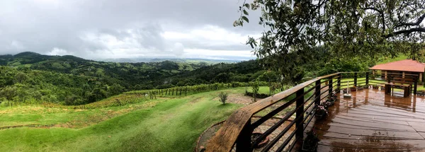 Panoramic View Vineyards Mountain Cloudy Raining Season Grapevines Green Hills — Stock Photo, Image