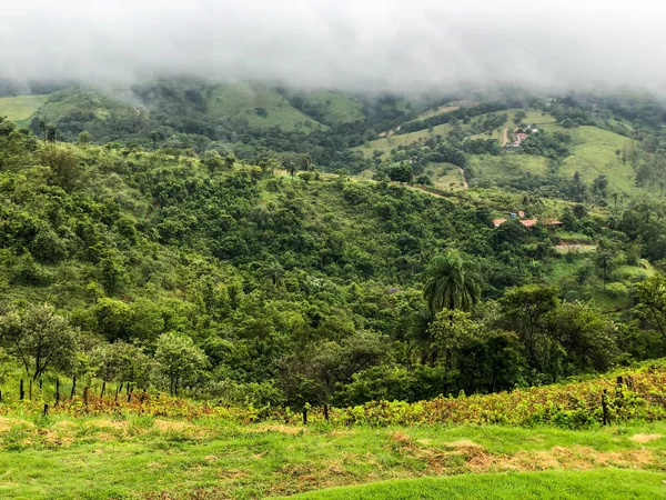 Top View Vineyards Mountain Cloudy Raining Season Grapevines Green Hills — Stock Photo, Image