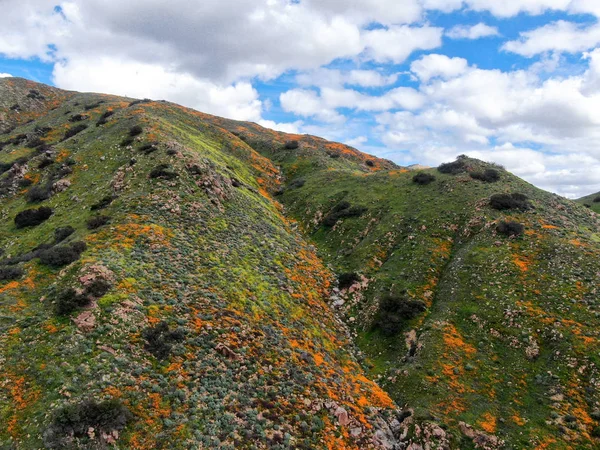 Vista Aérea Mountain Con California Golden Poppy Goldfields Floreciendo Walker —  Fotos de Stock