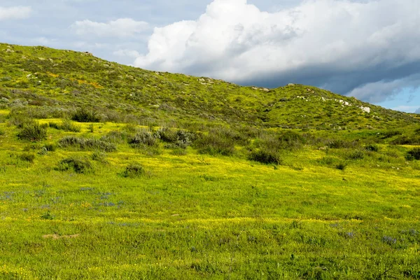 Kalifornie Walker Canyon Lake Elsinore Usa Zářivě Zelené Údolí Některé — Stock fotografie