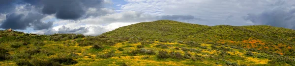 California Walker Canyon Lake Elsinore Estados Unidos Brillante Valle Verde — Foto de Stock