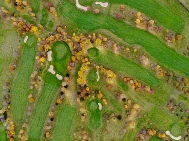 Bir golf sahası hava görünümünü. Güzel renkli ağaçlar ve Güney Belçika, Valon Brabant sonbahar/kış sezonunda yeşil Sahası.