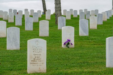 Fort Rosecrans Ulusal Mezarlığı bulutlu gün boyunca satırlardaki mezar taşları ile. Federal askeri mezarlığı noktası Loma, Kaliforniya, ABD San Diego şehir. 03/07/2019