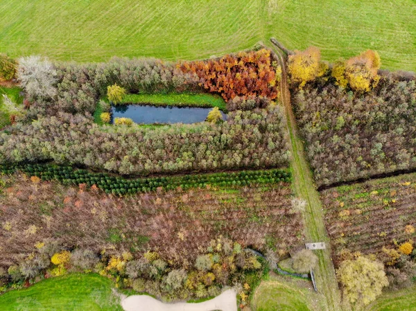 Aerial view of a golf course. Beautiful colorful trees and green course during autumn/winter season in the South of Belgium, Walloon Brabant.