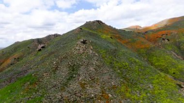 California Golden haşhaş ve Walker Kanyon, Lake Elsinore, Ca. ABD'de çiçek açan Goldfields Dağı havadan görünümü. Parlak turuncu haşhaş çiçekler California sırasında süper bloom bahar mevsimi çöl..