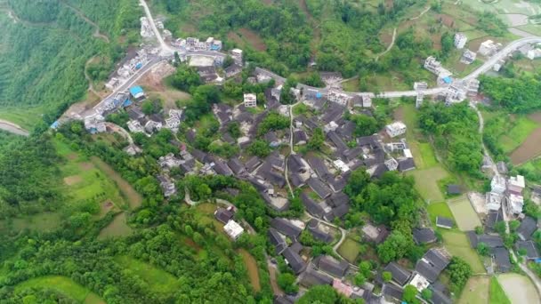 Vista Aérea Arroz Verde Campos Verduras Pueblo Pobre China Asia — Vídeos de Stock